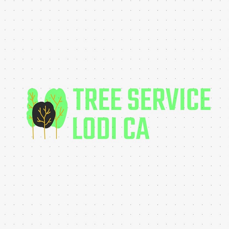 Lodi Tree Service Pros Logo