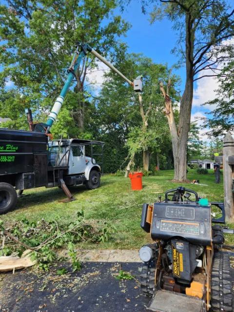 Acre Plus Management Image