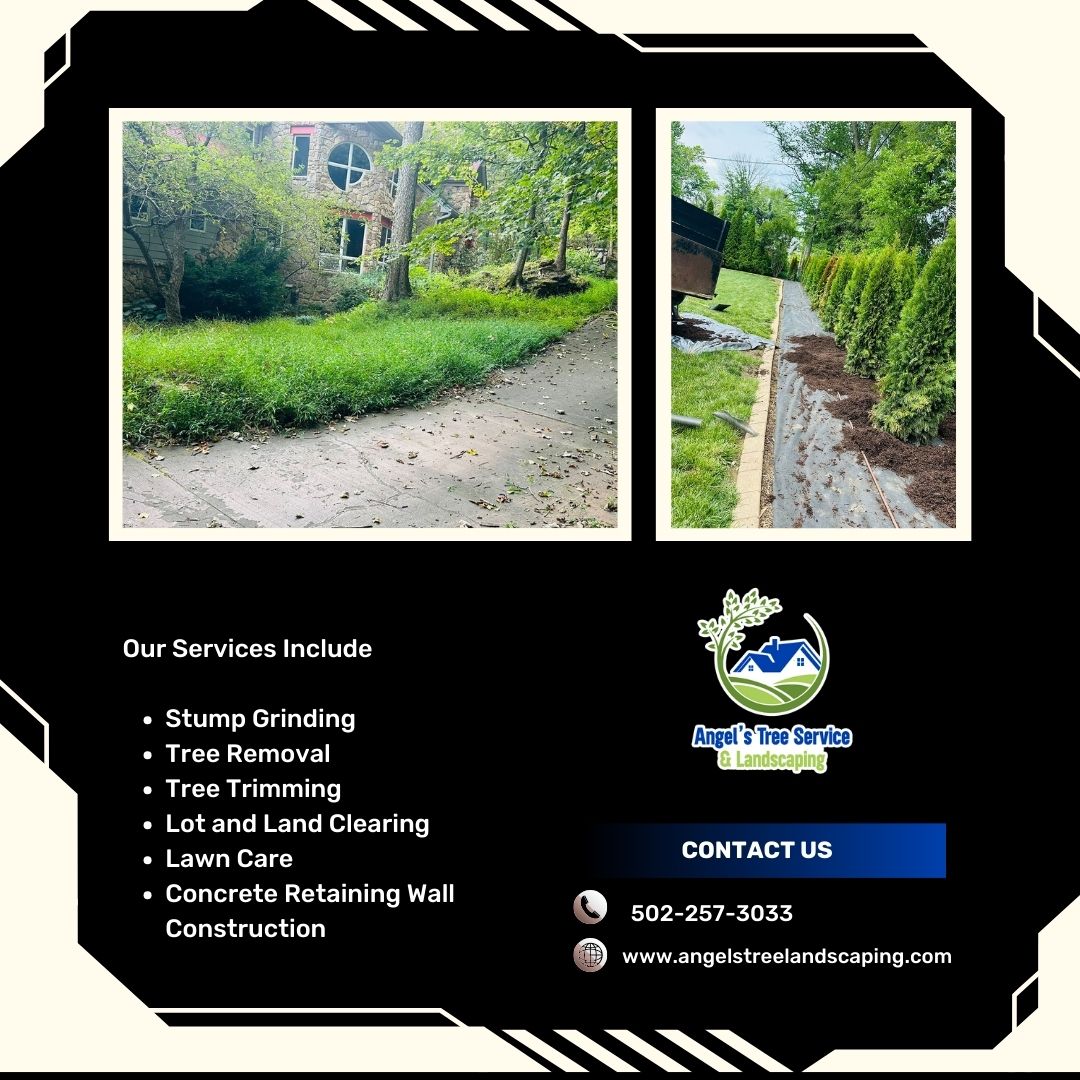 Angel's Tree Service & Landscaping Image