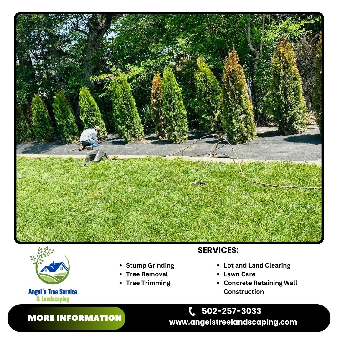 Angel's Tree Service & Landscaping Image