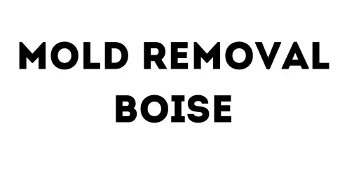 Mold Removal Boise Logo
