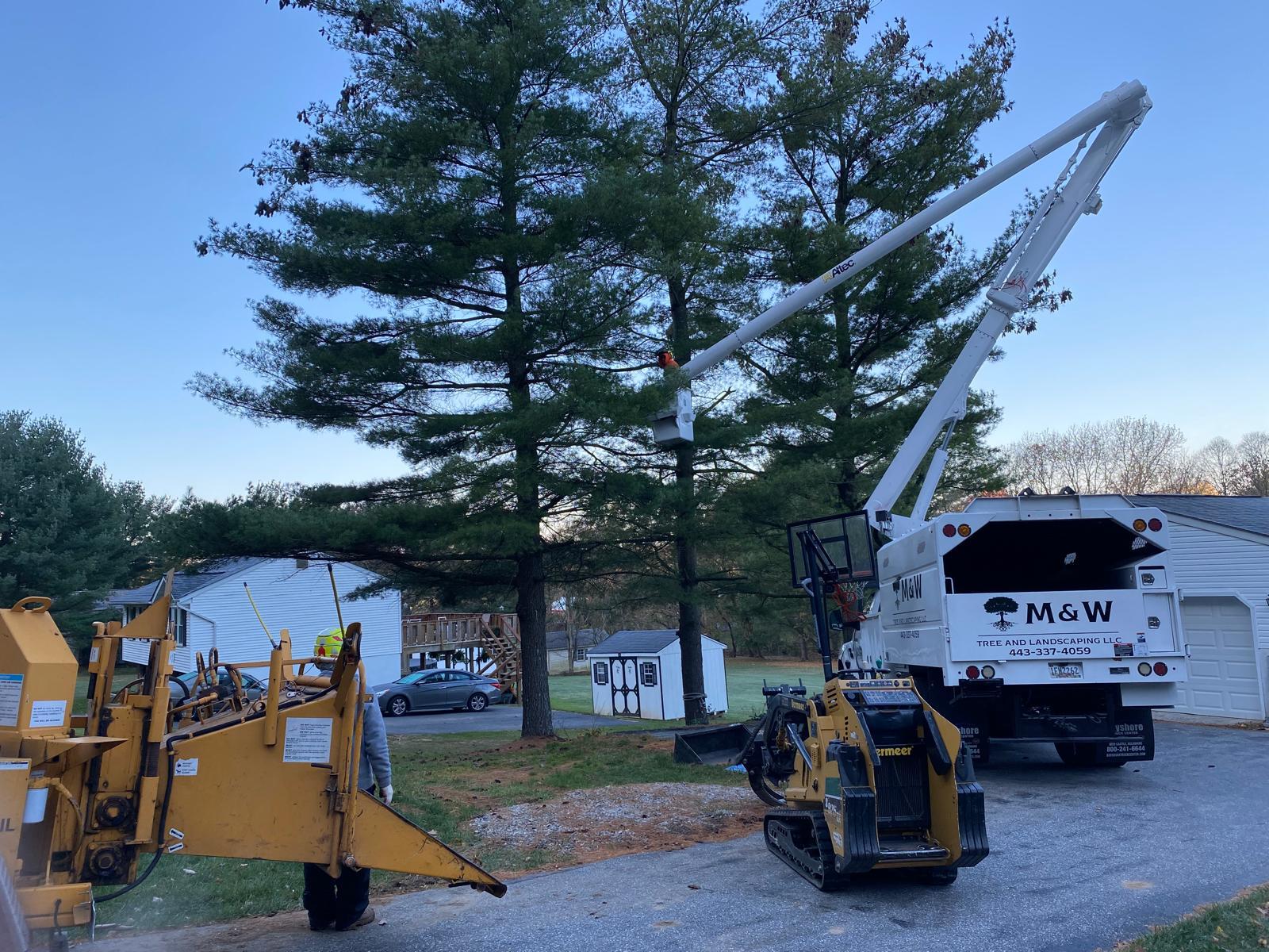 M & W Tree And Landscaping LLC Image