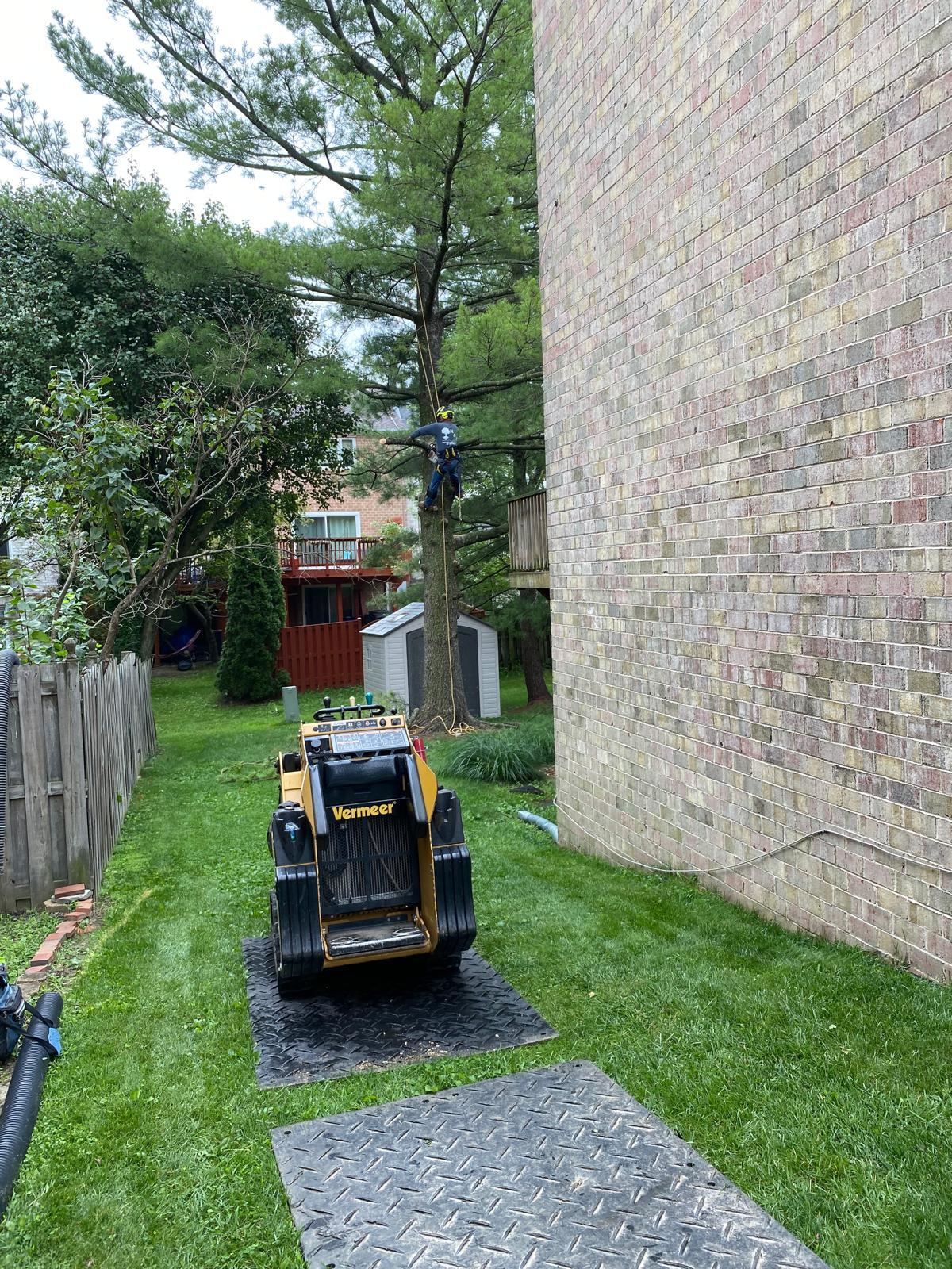 M & W Tree And Landscaping LLC Image