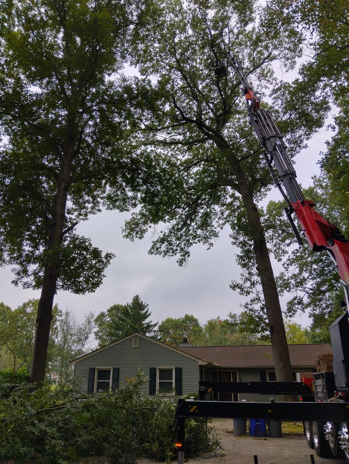 M & W Tree And Landscaping LLC Image