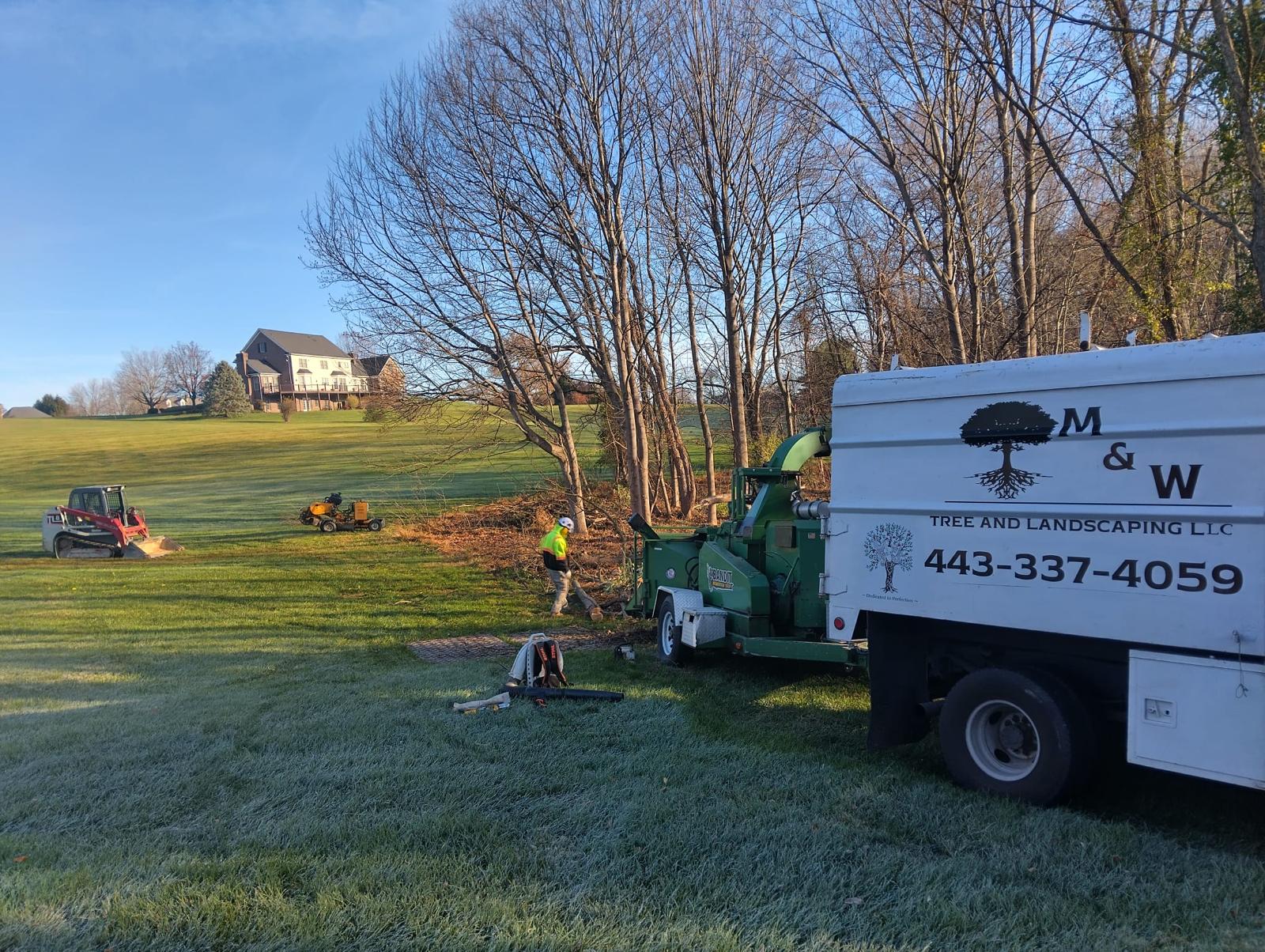 M & W Tree And Landscaping LLC Image