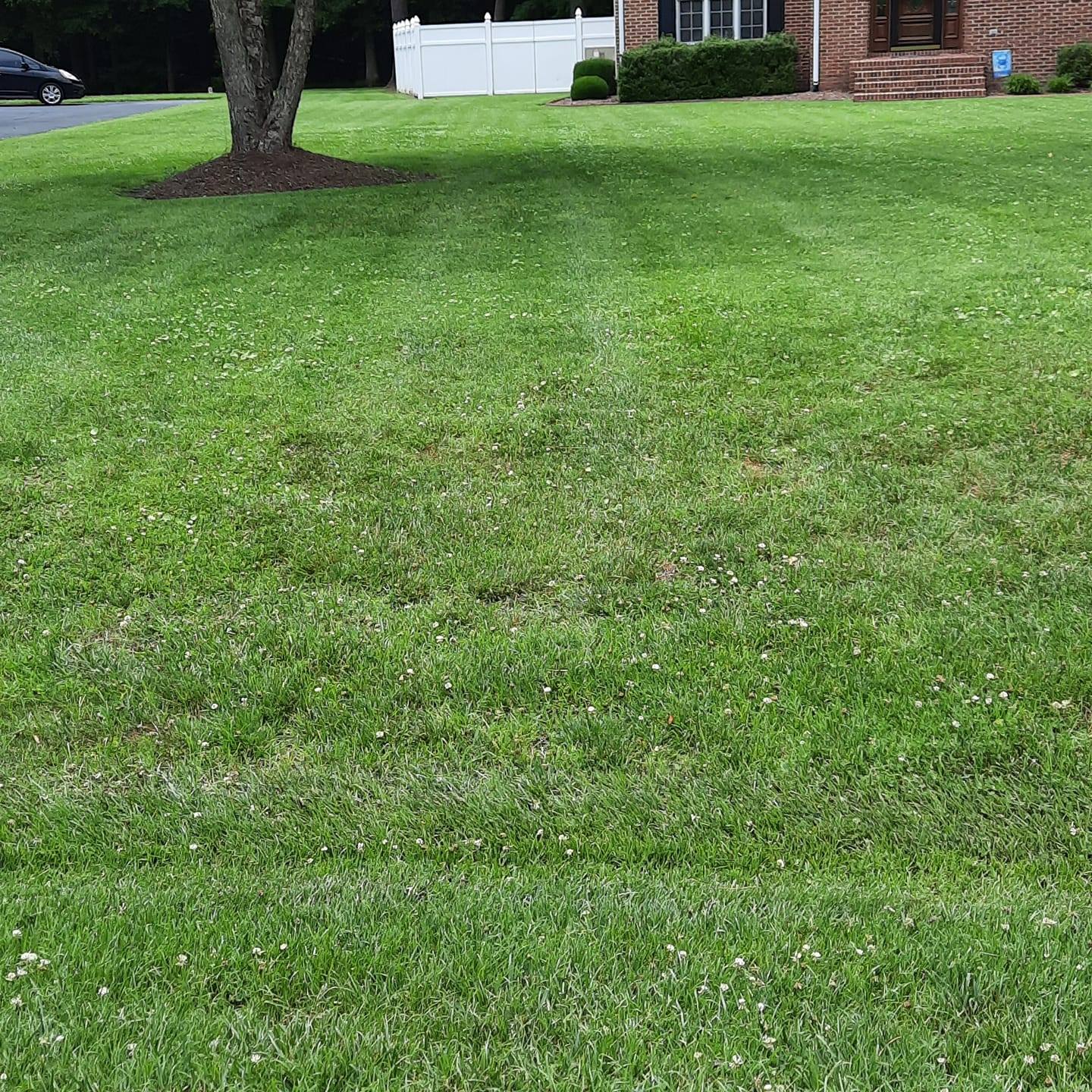 Good Lawn Services Image