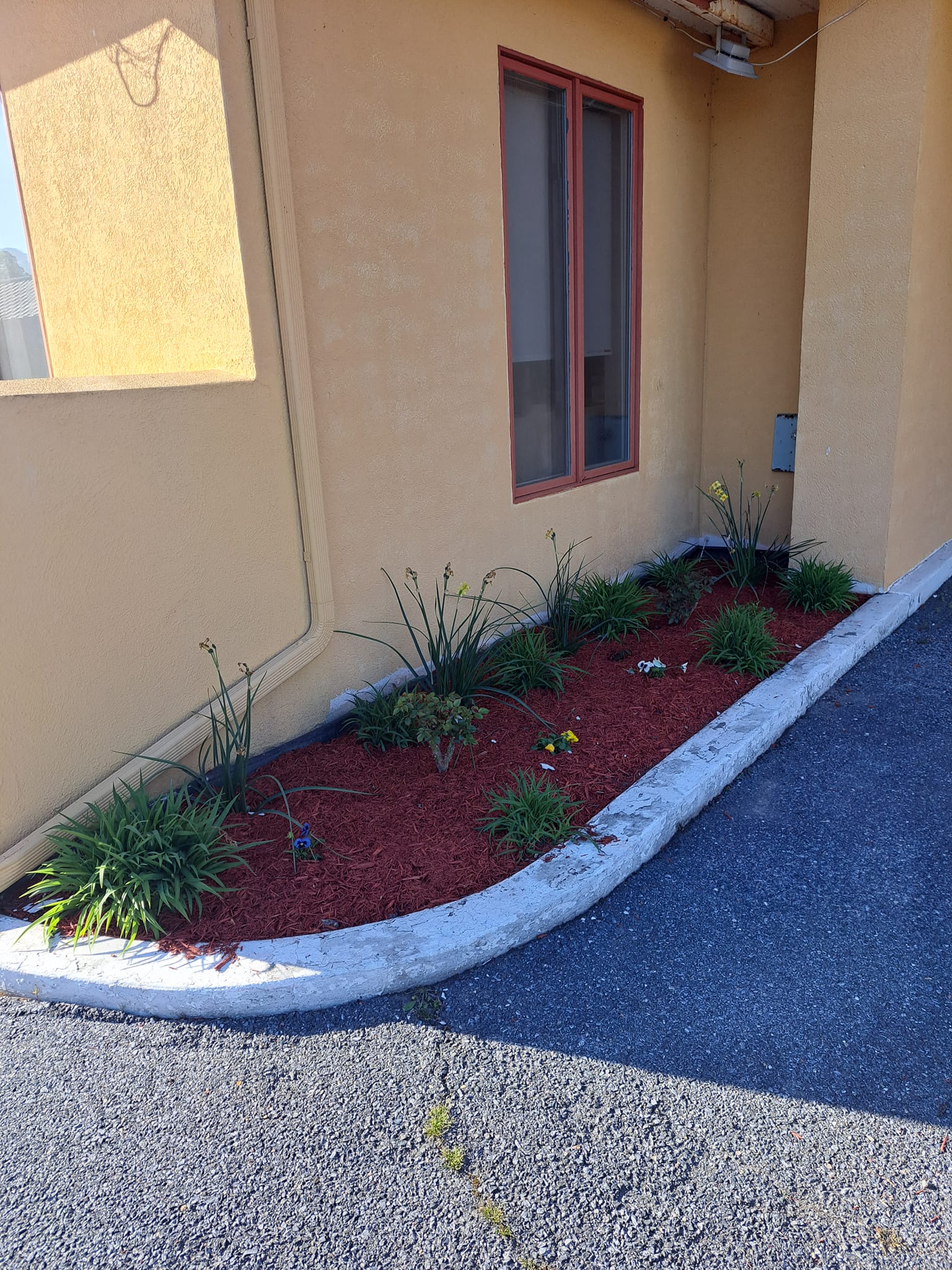 Good Lawn Services Image
