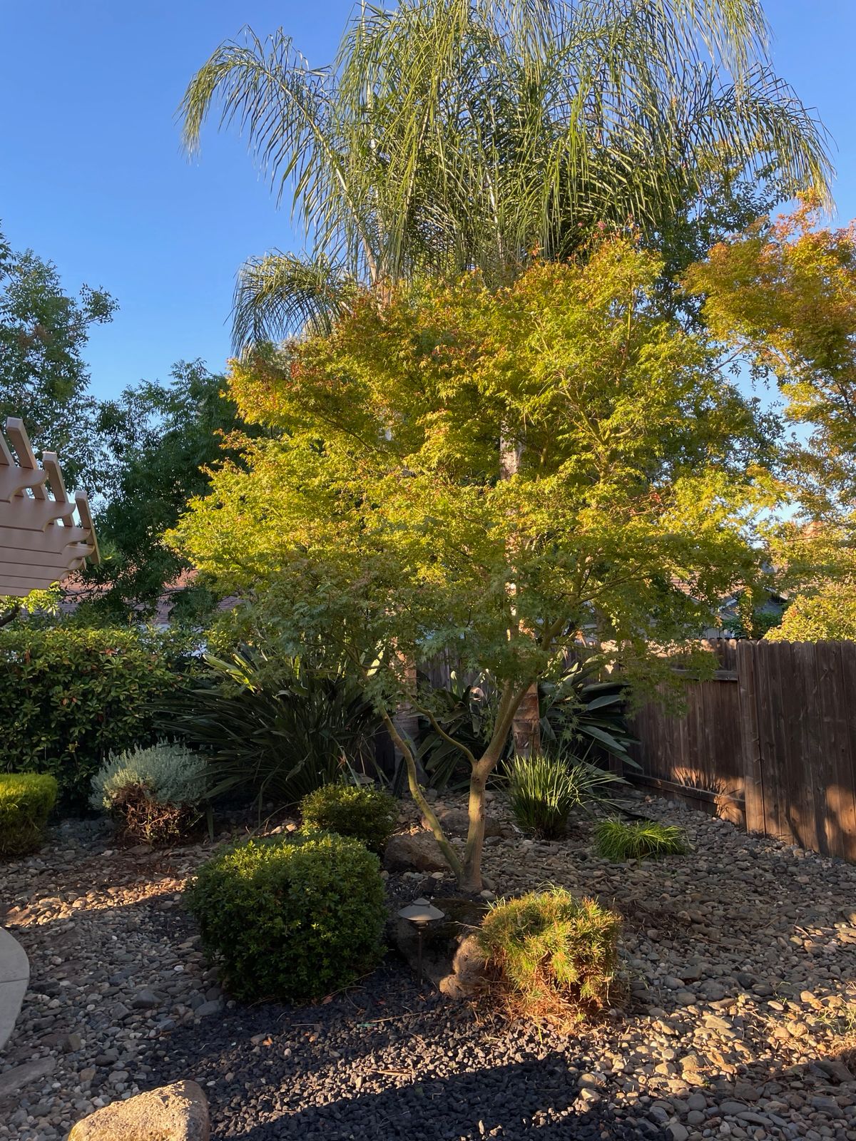 Kronos Tree Care & Landscaping Image
