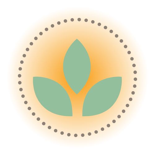Desert Willow Wellness Logo