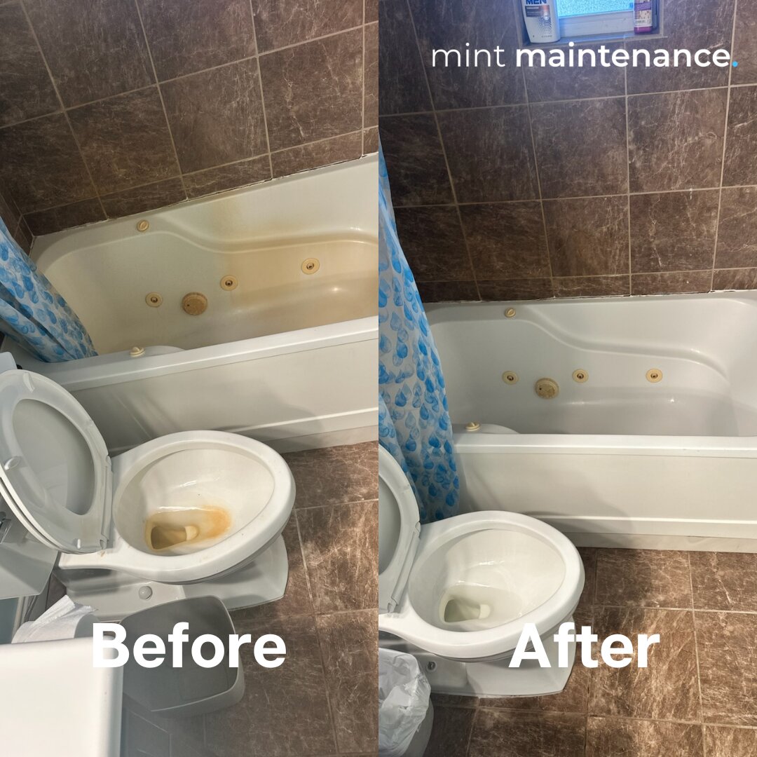 Mint Maintenance Image