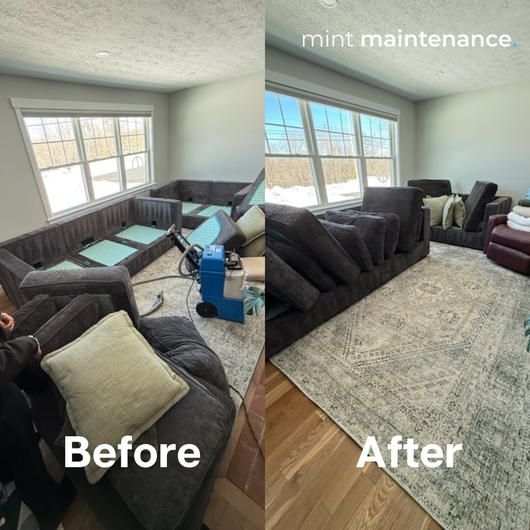 Mint Maintenance Image