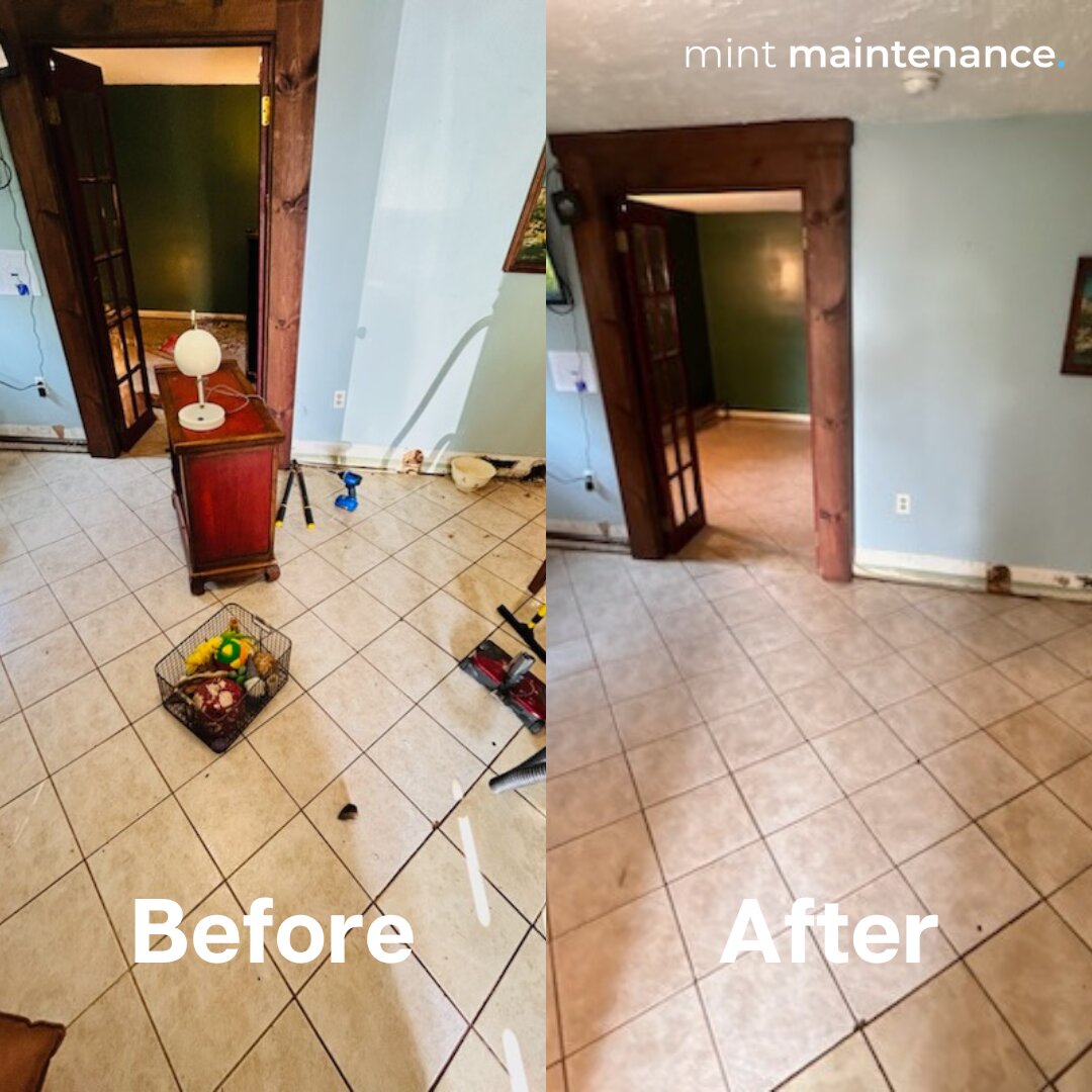 Mint Maintenance Image