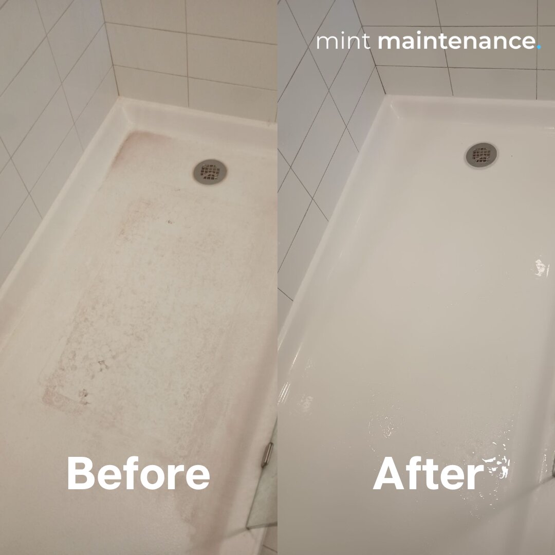 Mint Maintenance Image