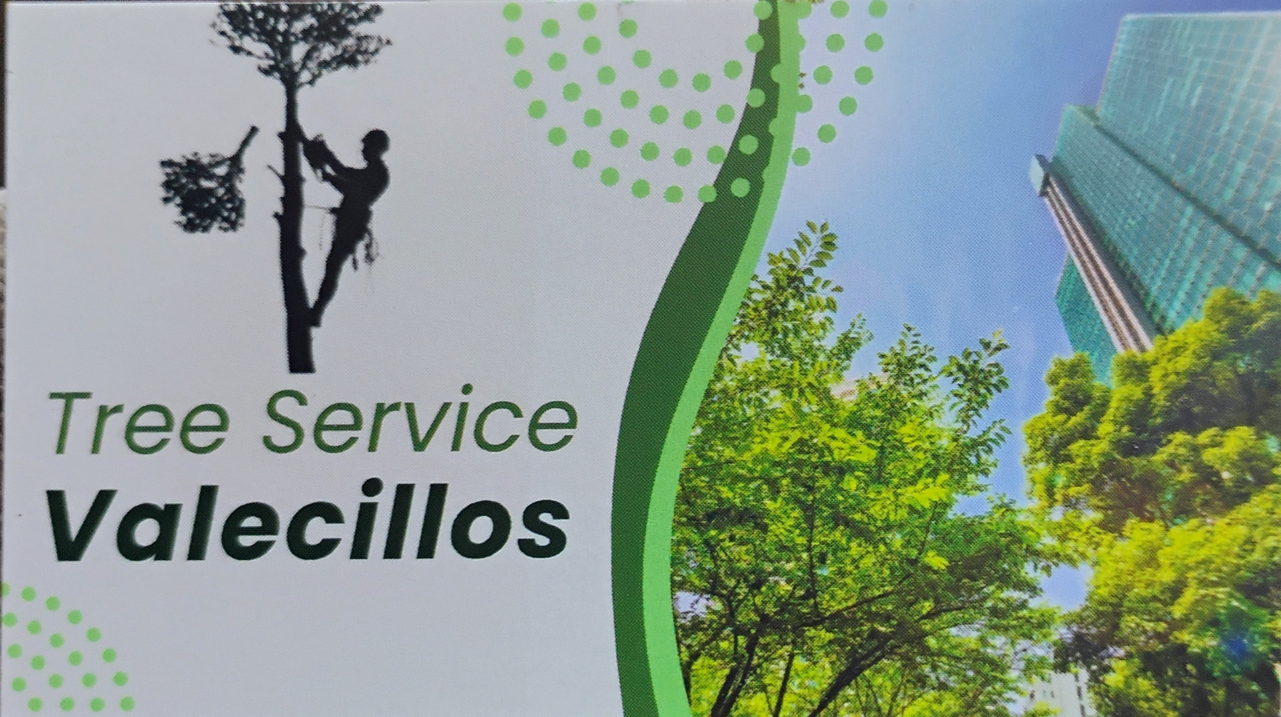 Valecillo&apos;s Tree Service Logo