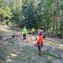 Perez Tree Services LLC Image