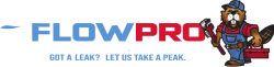 FlowPro Plumbing Logo