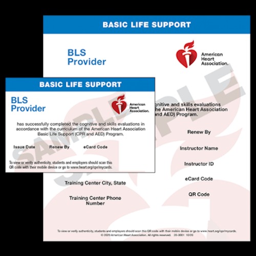 Vital CPR Image
