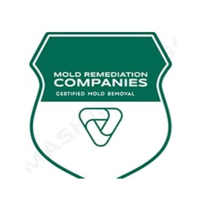 Provo Mold Remediation Pros
