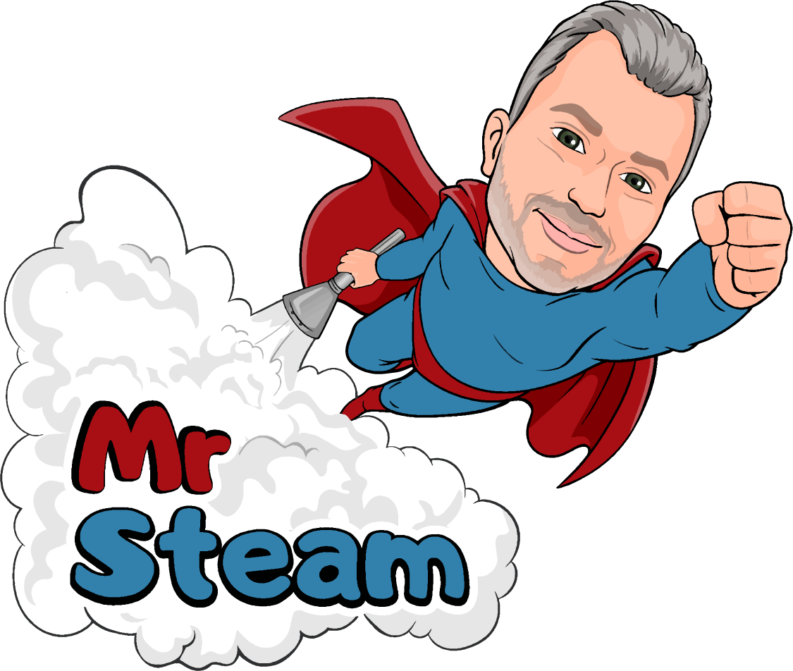 Mr Steam  Nepa Logo