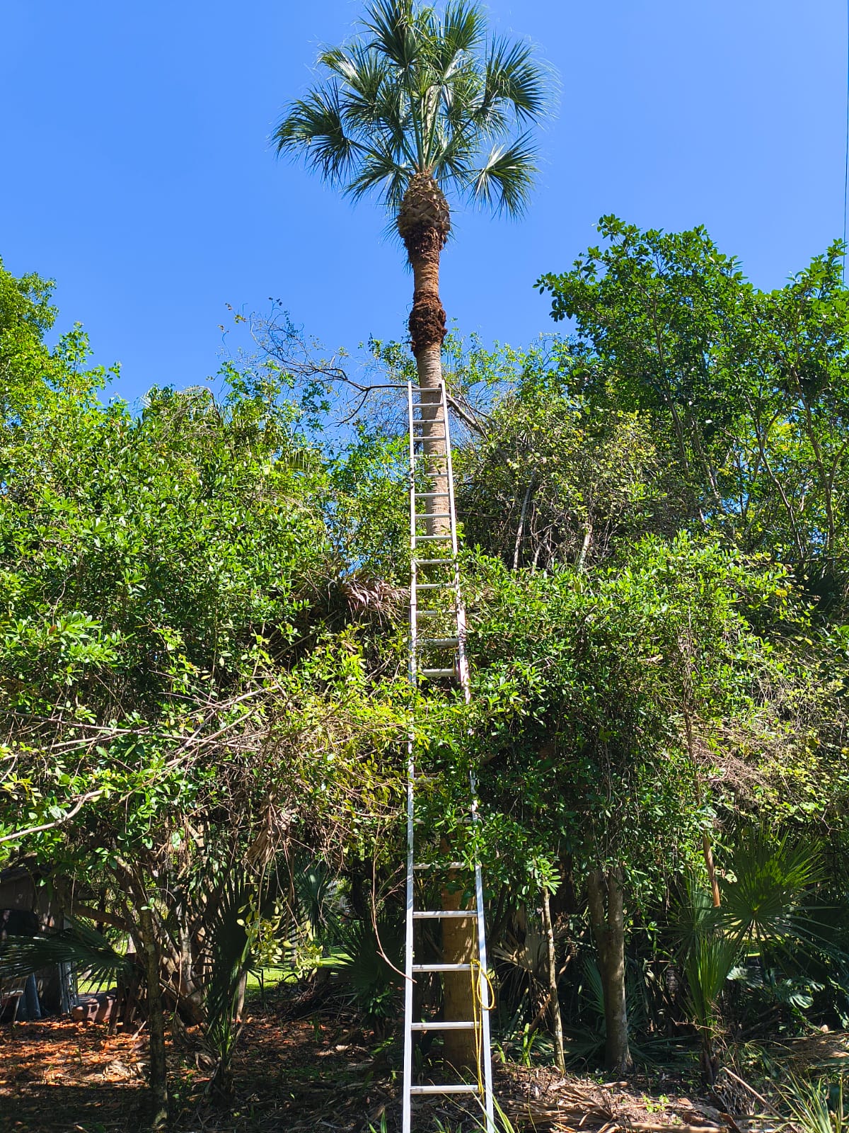 ALG Landscaping LLC Image