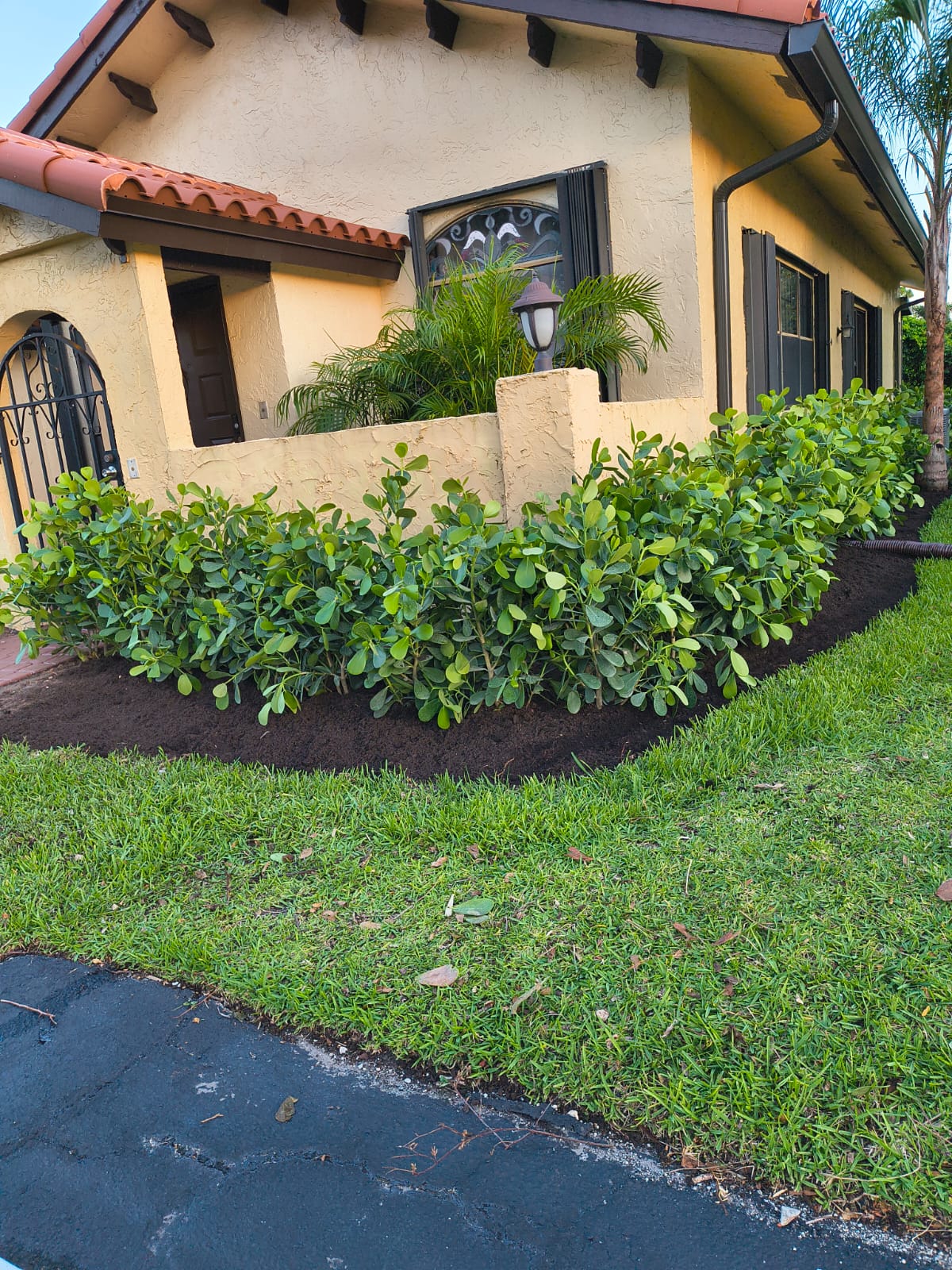 ALG Landscaping LLC Image