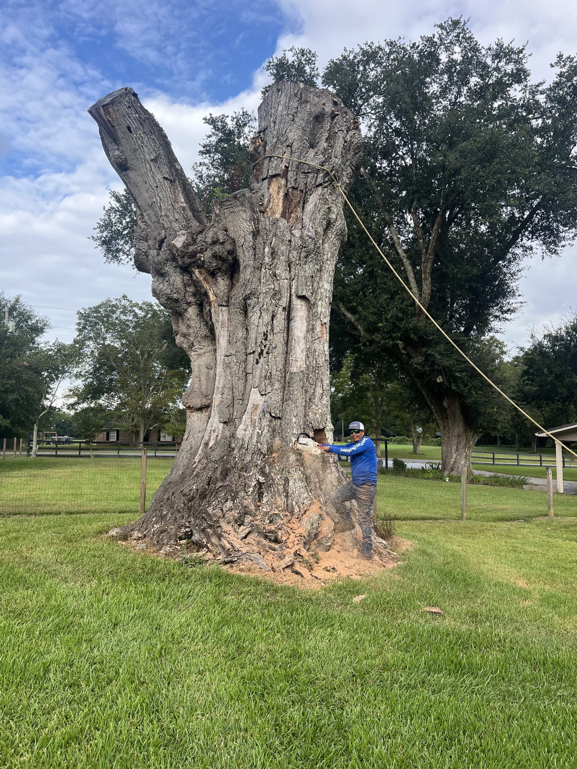 Solution Tree Services LLC Image