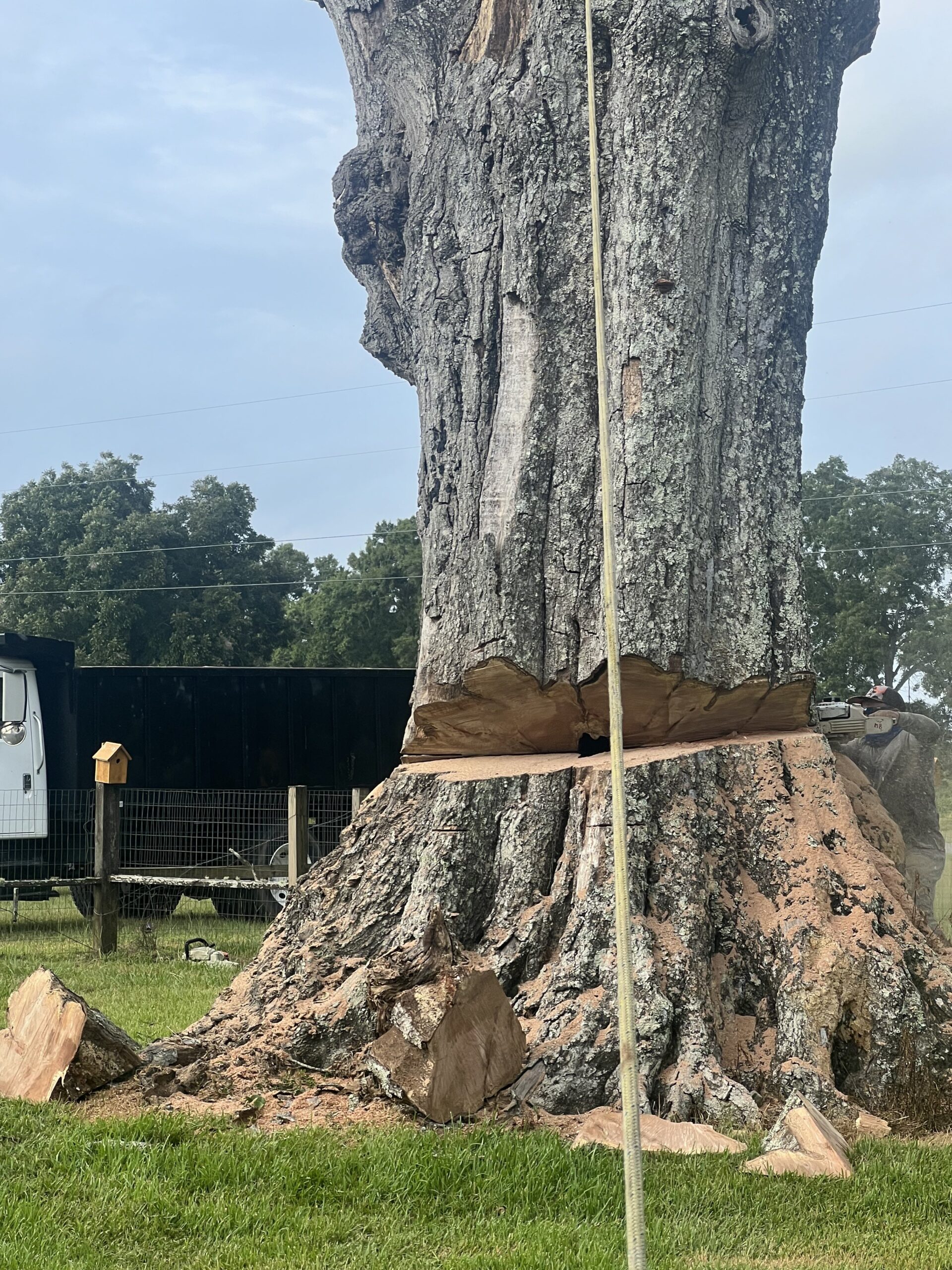 Solution Tree Services LLC Image