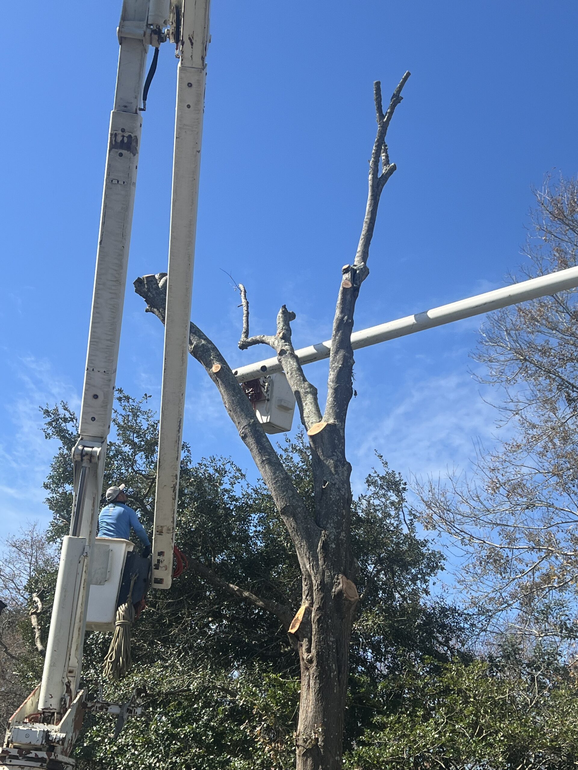 Solution Tree Services LLC Image