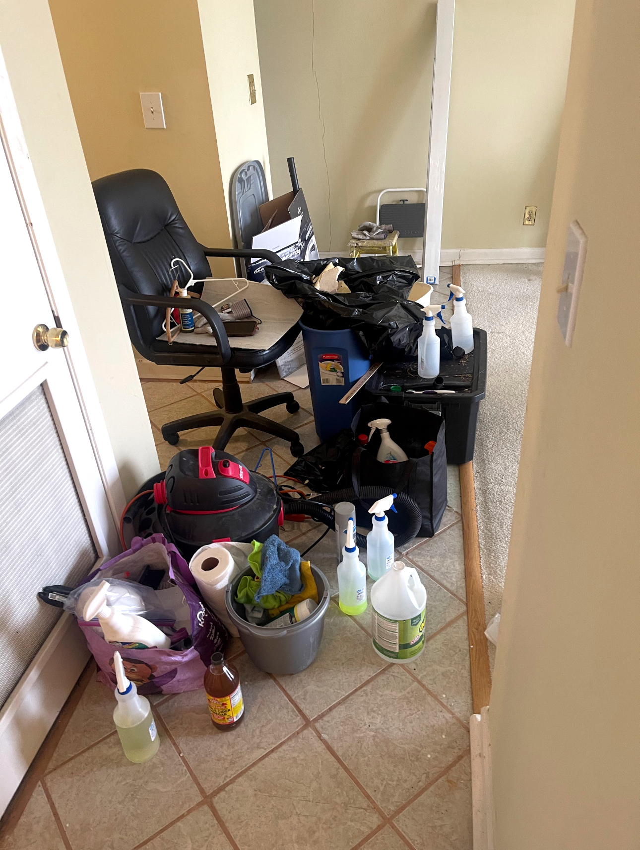 Clean N Tidy Fresh N Fast LLC Image