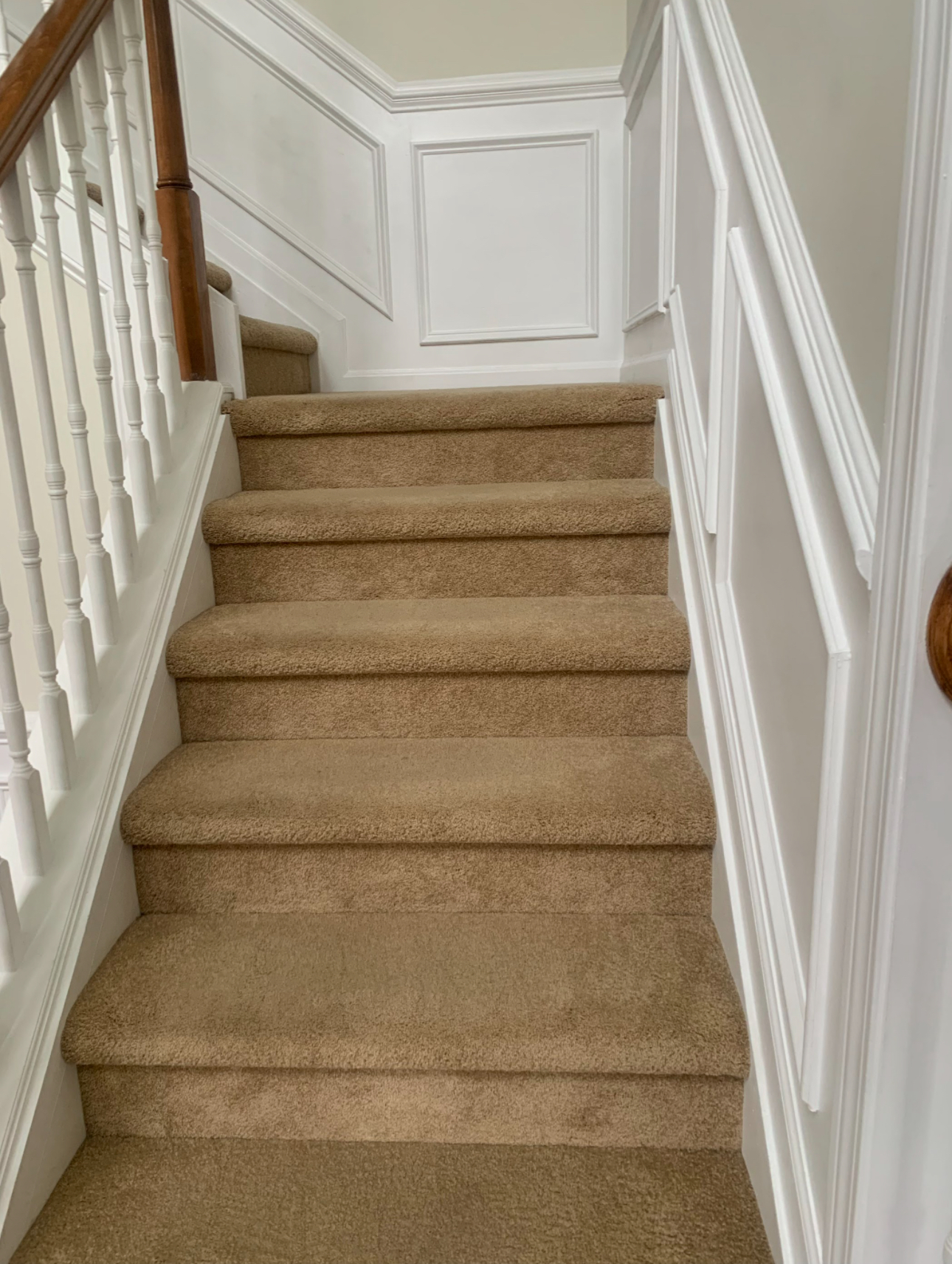 Clean N Tidy Fresh N Fast LLC Image