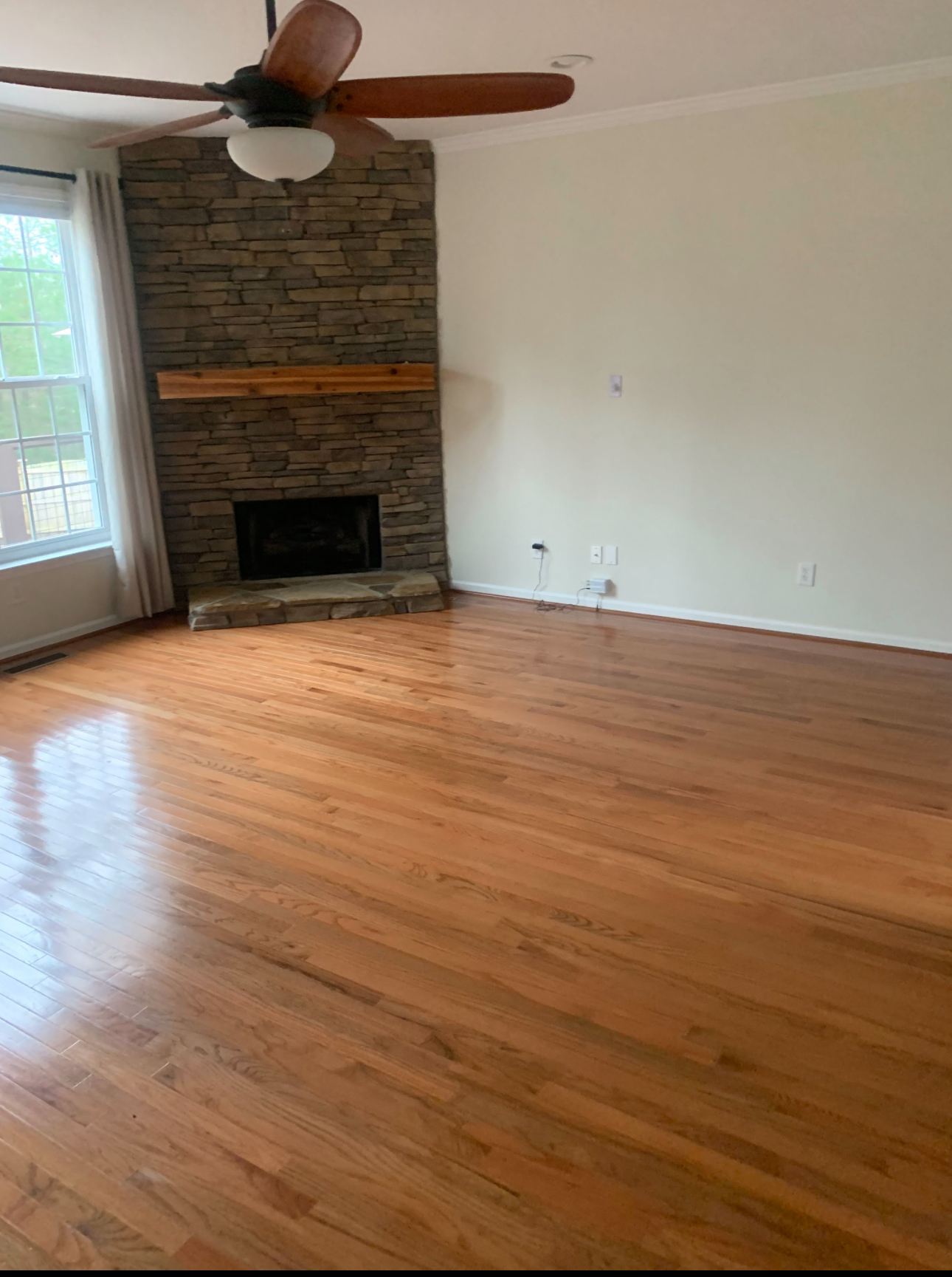 Clean N Tidy Fresh N Fast LLC Image