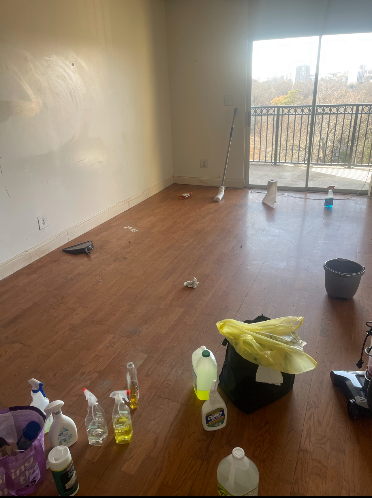 Clean N Tidy Fresh N Fast LLC Image