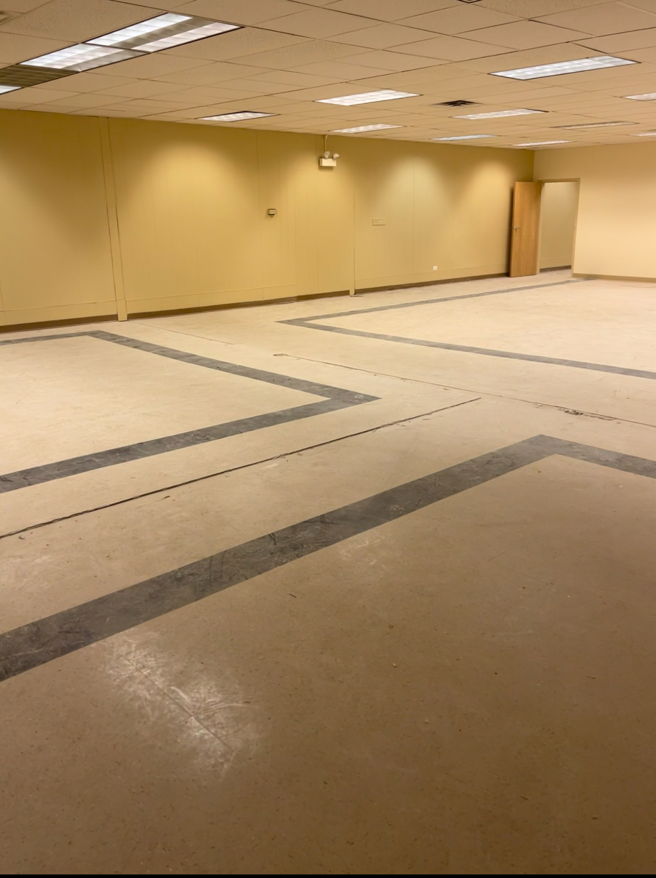 Clean N Tidy Fresh N Fast LLC Image