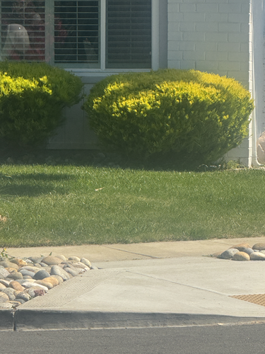 Turf & Pave Masters LLC Image