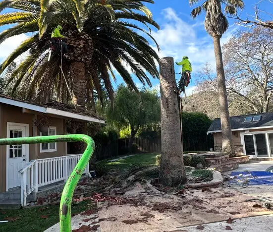 Golden State Tree Care Image