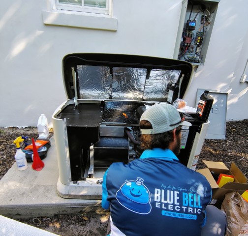 Blue Bell Electric Image