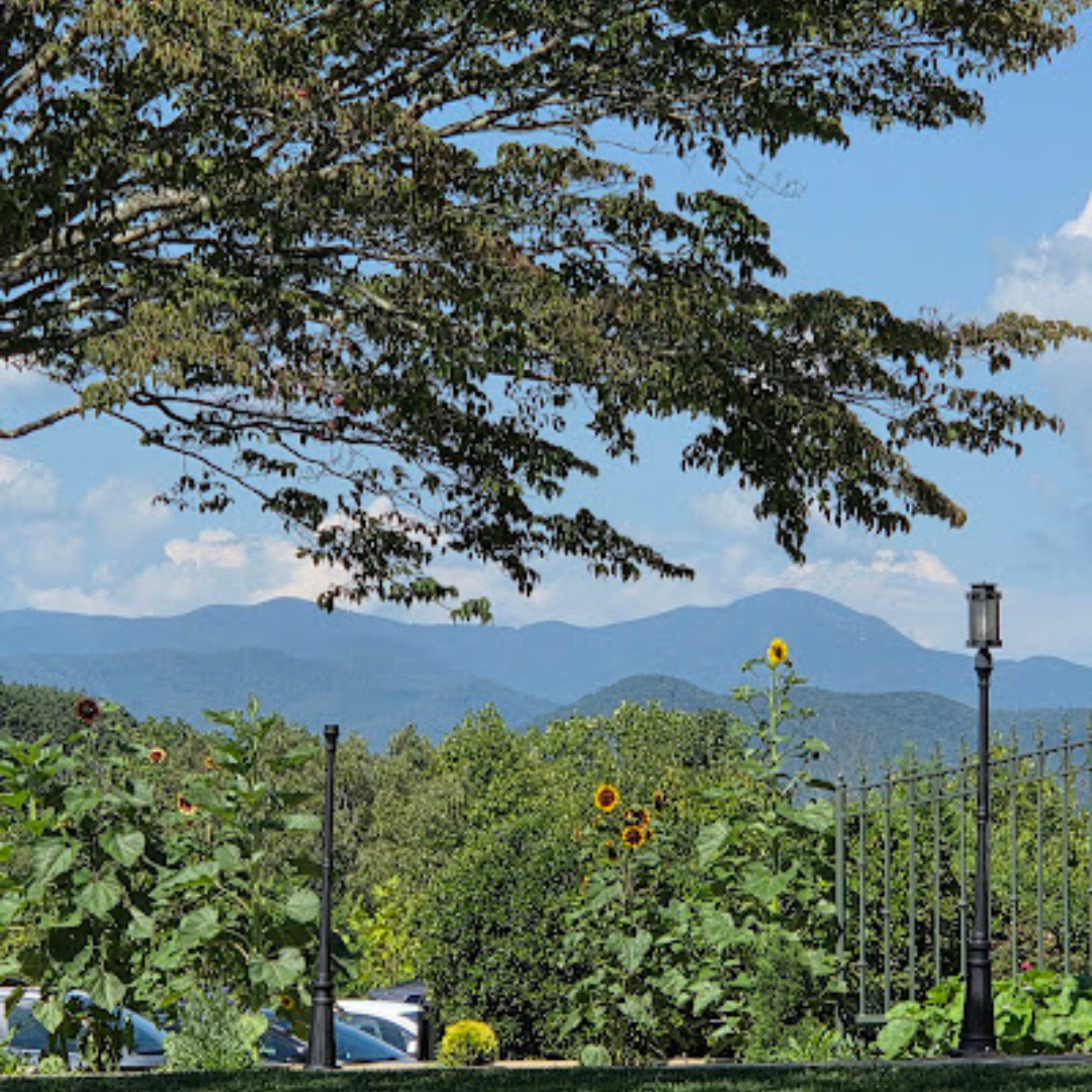 SKYLARANNA Resort & SPA Image