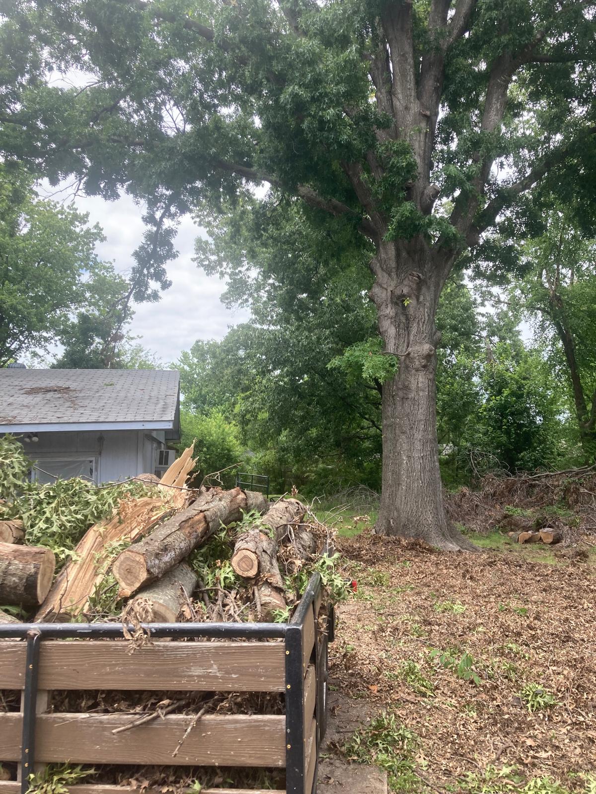 Estrada's Tree & Landscaping Services LLC Image