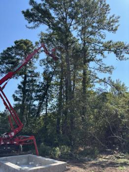 J. Macaluso Tree Service Image