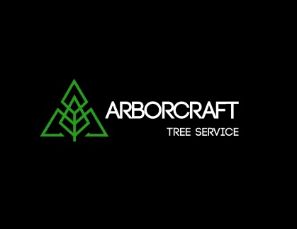 ArborCraft Tree Service Phoenix Image