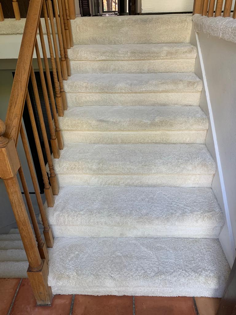 Vital Clean Carpet Cleaning