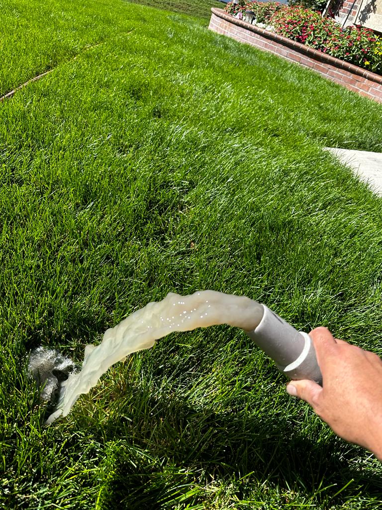 Vital Clean Carpet Cleaning