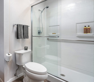 Bathroom Modifications
