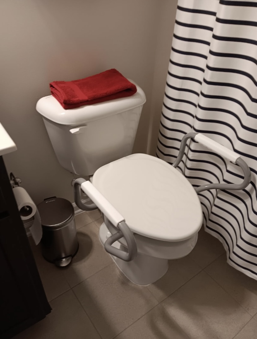 Grab bars, hand-held shower head, towel rack grab bars, and safer toilets in Hillsborough!